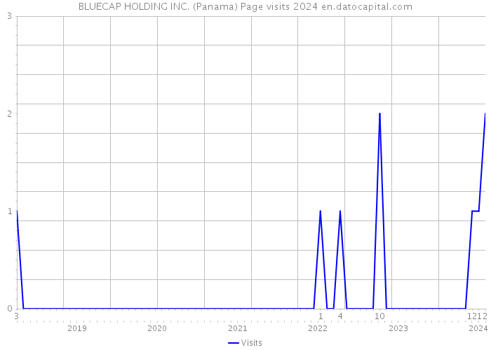 BLUECAP HOLDING INC. (Panama) Page visits 2024 