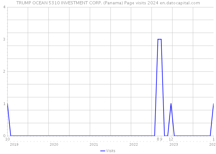 TRUMP OCEAN 5310 INVESTMENT CORP. (Panama) Page visits 2024 