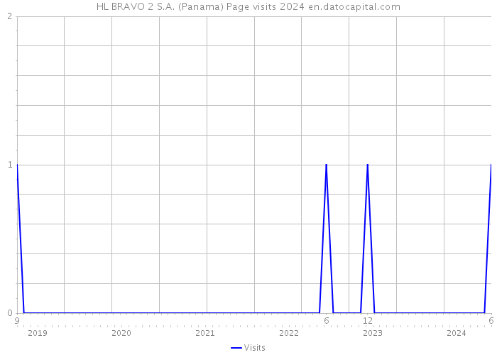 HL BRAVO 2 S.A. (Panama) Page visits 2024 