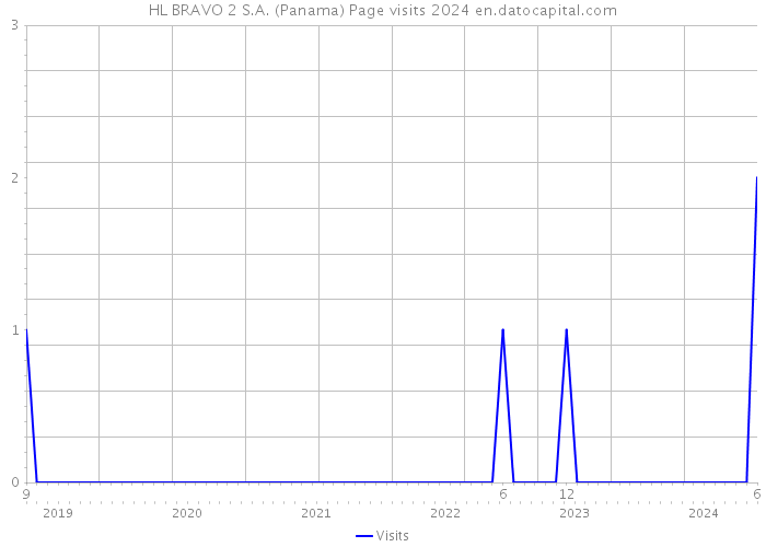 HL BRAVO 2 S.A. (Panama) Page visits 2024 