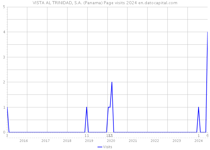 VISTA AL TRINIDAD, S.A. (Panama) Page visits 2024 