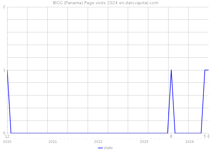 BIGG (Panama) Page visits 2024 