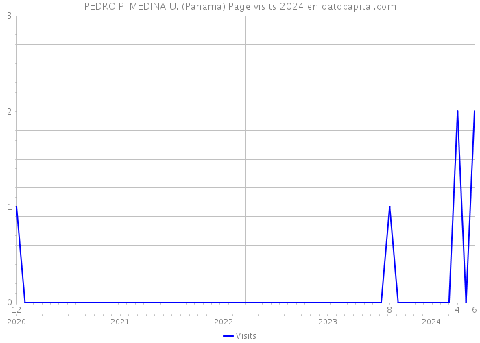 PEDRO P. MEDINA U. (Panama) Page visits 2024 