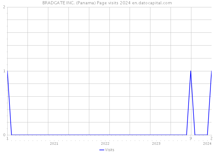 BRADGATE INC. (Panama) Page visits 2024 