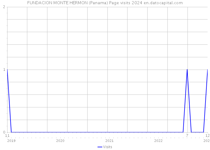 FUNDACION MONTE HERMON (Panama) Page visits 2024 