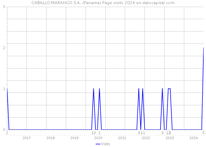 CABALLO MARANGO S.A. (Panama) Page visits 2024 
