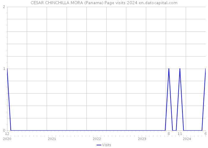 CESAR CHINCHILLA MORA (Panama) Page visits 2024 