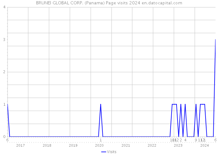 BRUNEI GLOBAL CORP. (Panama) Page visits 2024 