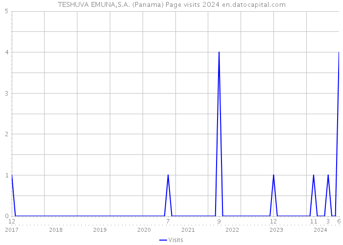TESHUVA EMUNA,S.A. (Panama) Page visits 2024 