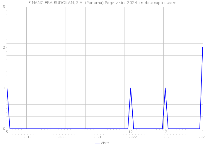 FINANCIERA BUDOKAN, S.A. (Panama) Page visits 2024 