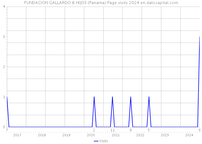 FUNDACION GALLARDO & HIJOS (Panama) Page visits 2024 