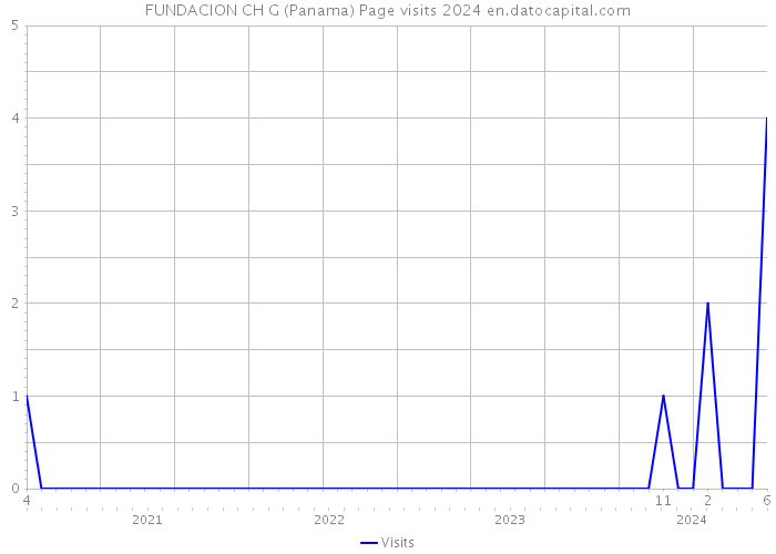 FUNDACION CH G (Panama) Page visits 2024 