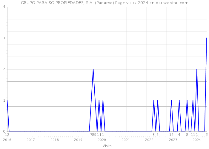 GRUPO PARAISO PROPIEDADES, S.A. (Panama) Page visits 2024 