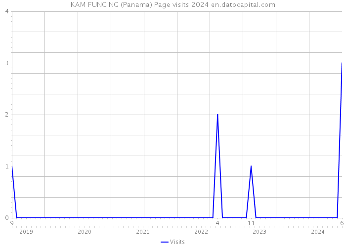 KAM FUNG NG (Panama) Page visits 2024 