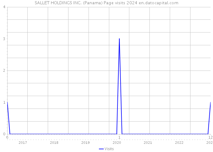 SALLET HOLDINGS INC. (Panama) Page visits 2024 