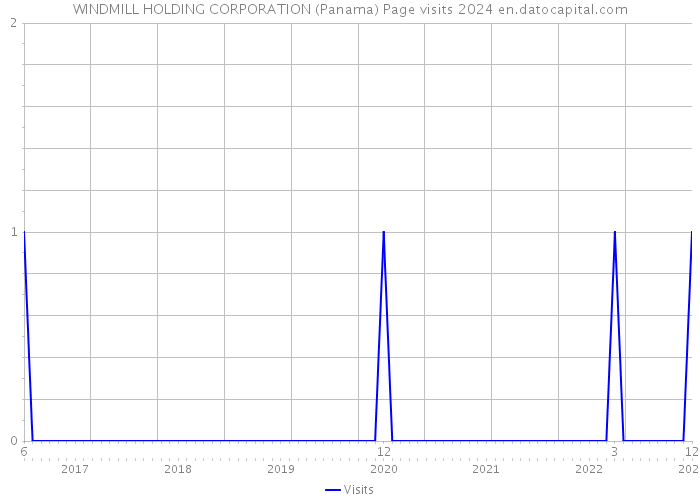 WINDMILL HOLDING CORPORATION (Panama) Page visits 2024 