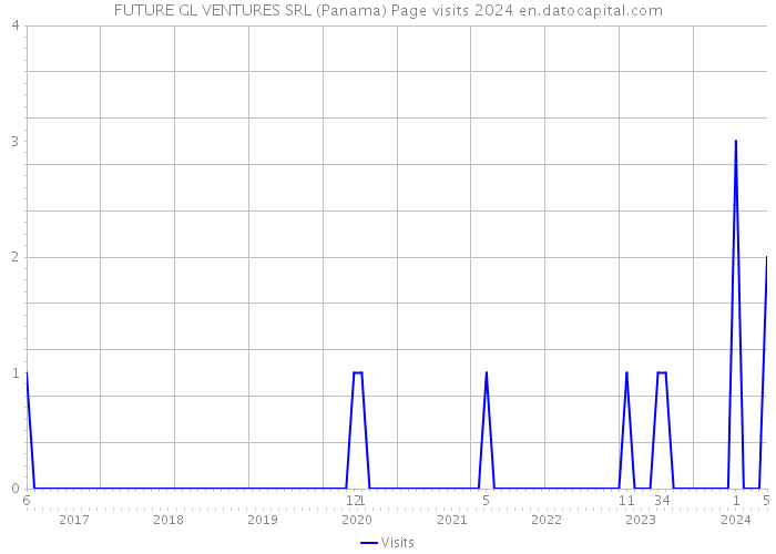 FUTURE GL VENTURES SRL (Panama) Page visits 2024 