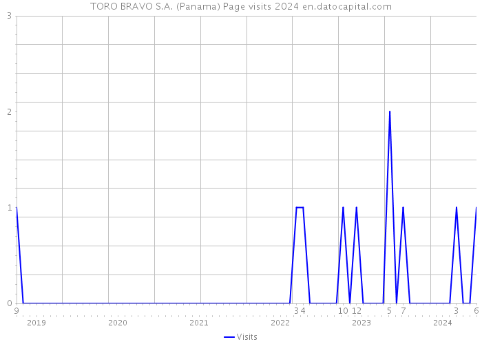 TORO BRAVO S.A. (Panama) Page visits 2024 