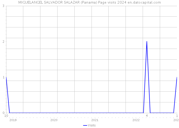 MIGUELANGEL SALVADOR SALAZAR (Panama) Page visits 2024 