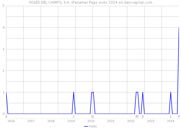 SOLES DEL CAMPO, S.A. (Panama) Page visits 2024 