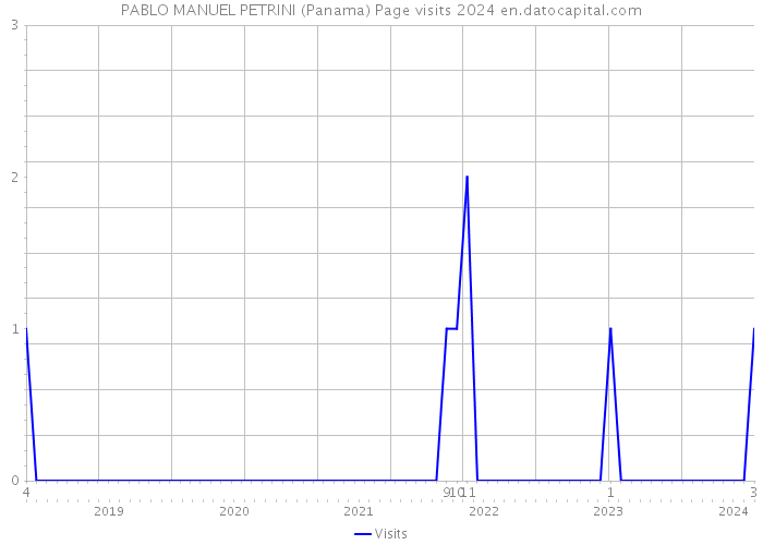 PABLO MANUEL PETRINI (Panama) Page visits 2024 