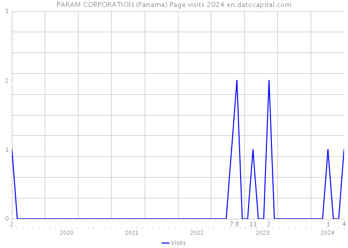 PARAM CORPORATION (Panama) Page visits 2024 
