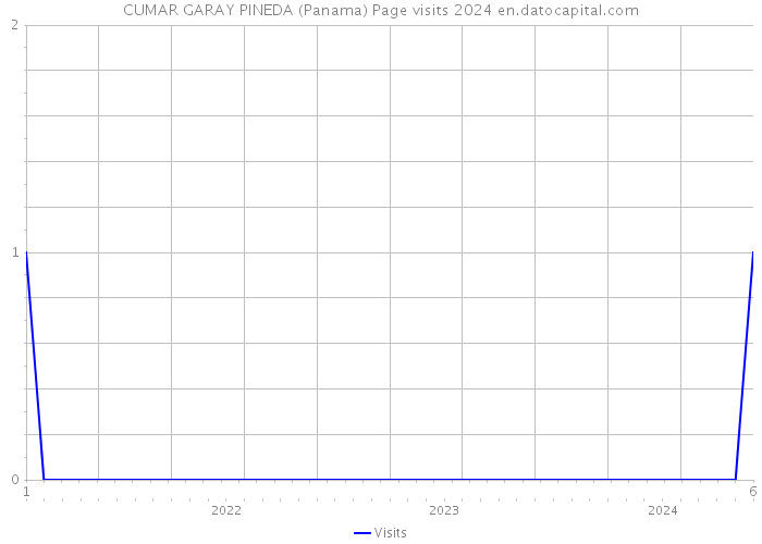 CUMAR GARAY PINEDA (Panama) Page visits 2024 