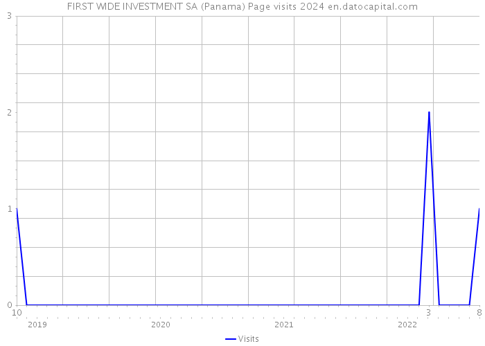 FIRST WIDE INVESTMENT SA (Panama) Page visits 2024 