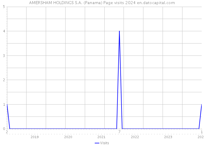 AMERSHAM HOLDINGS S.A. (Panama) Page visits 2024 