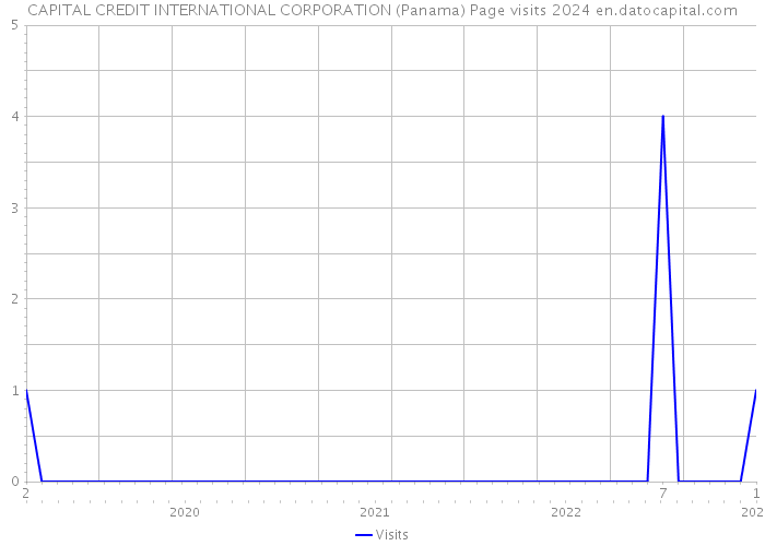 CAPITAL CREDIT INTERNATIONAL CORPORATION (Panama) Page visits 2024 