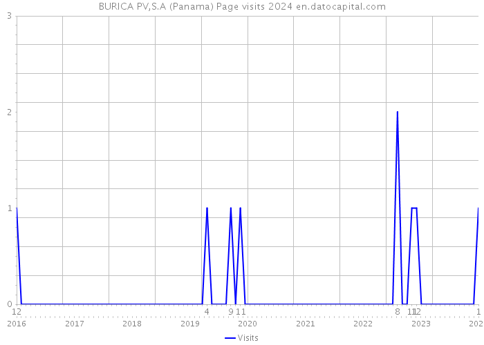 BURICA PV,S.A (Panama) Page visits 2024 