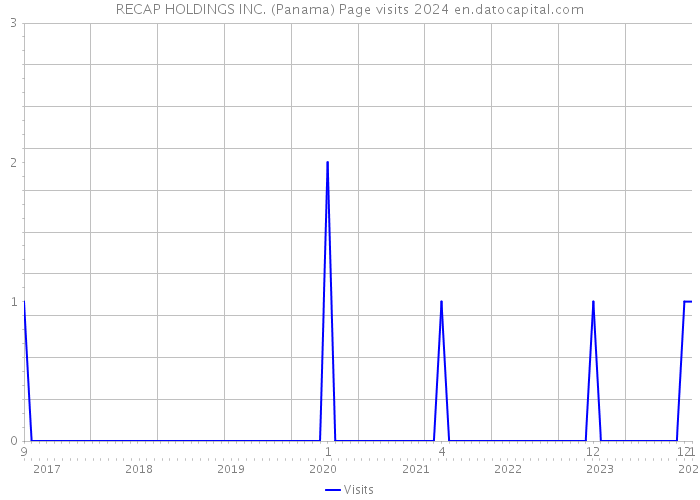 RECAP HOLDINGS INC. (Panama) Page visits 2024 