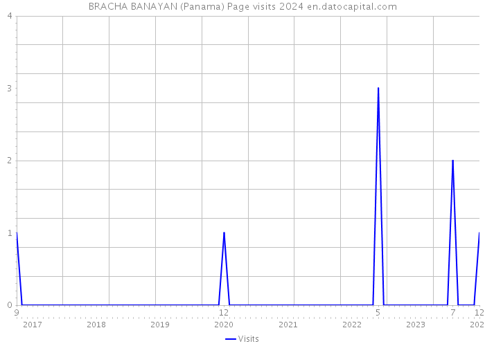 BRACHA BANAYAN (Panama) Page visits 2024 