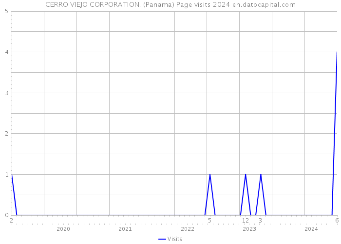 CERRO VIEJO CORPORATION. (Panama) Page visits 2024 