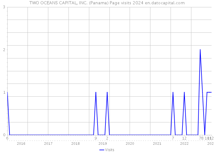 TWO OCEANS CAPITAL, INC. (Panama) Page visits 2024 