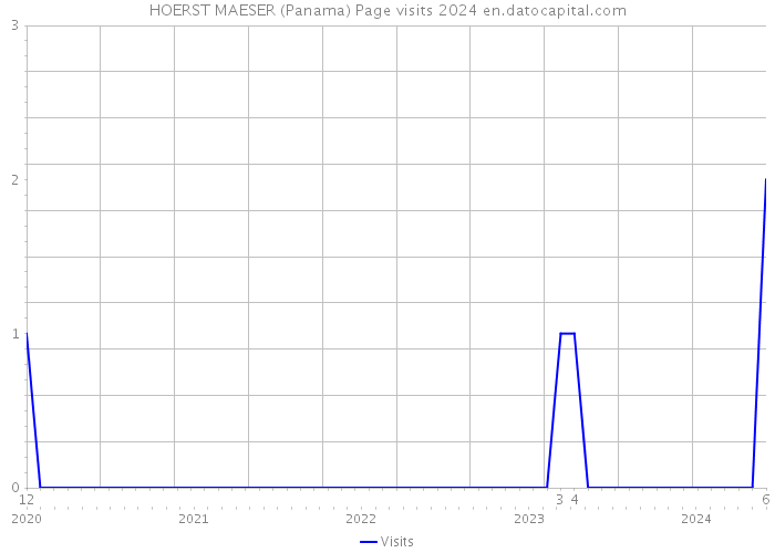HOERST MAESER (Panama) Page visits 2024 
