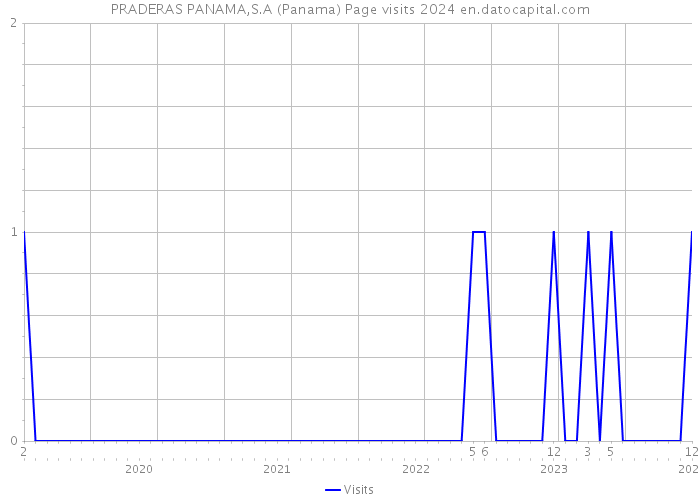 PRADERAS PANAMA,S.A (Panama) Page visits 2024 