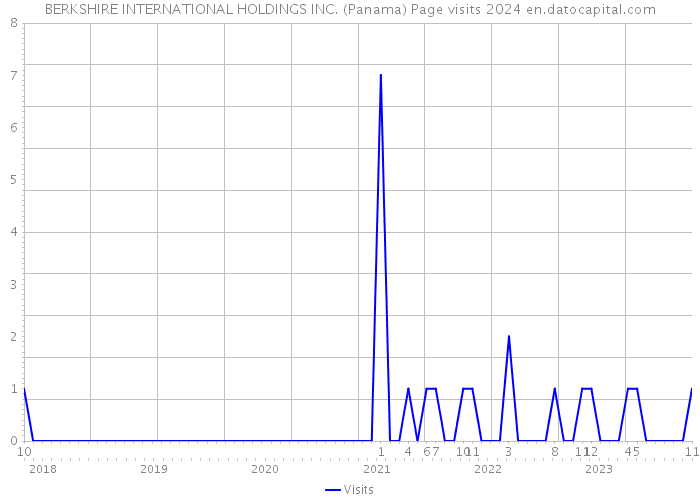 BERKSHIRE INTERNATIONAL HOLDINGS INC. (Panama) Page visits 2024 