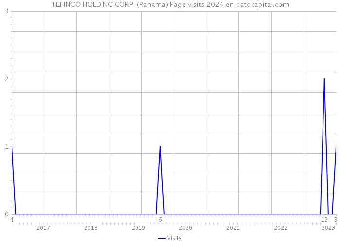 TEFINCO HOLDING CORP. (Panama) Page visits 2024 