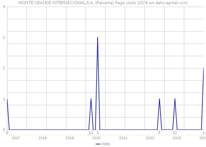MONTE GRANDE INTERNACIONAL,S.A. (Panama) Page visits 2024 