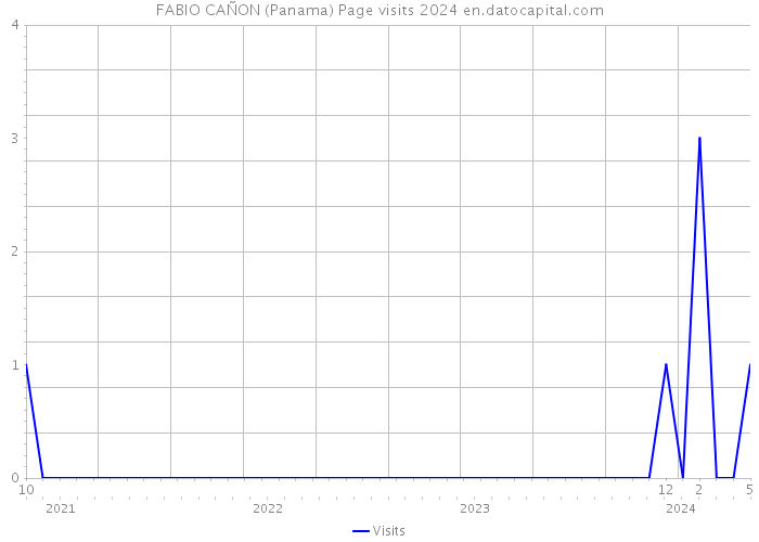 FABIO CAÑON (Panama) Page visits 2024 