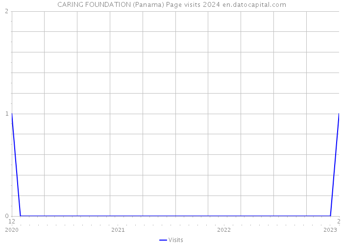 CARING FOUNDATION (Panama) Page visits 2024 