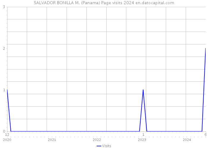SALVADOR BONILLA M. (Panama) Page visits 2024 