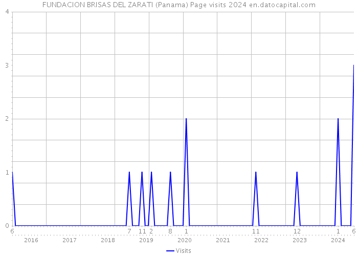 FUNDACION BRISAS DEL ZARATI (Panama) Page visits 2024 