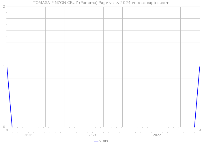 TOMASA PINZON CRUZ (Panama) Page visits 2024 