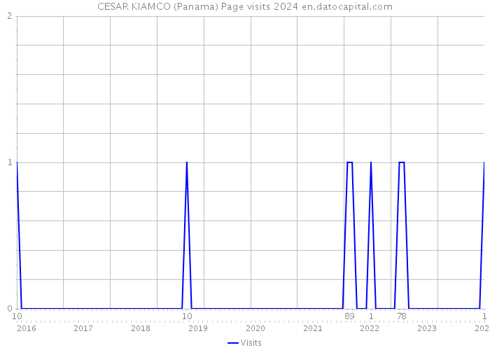 CESAR KIAMCO (Panama) Page visits 2024 