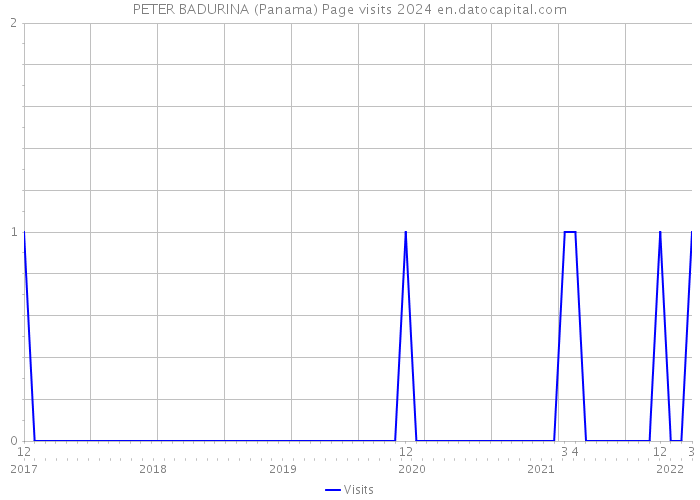 PETER BADURINA (Panama) Page visits 2024 