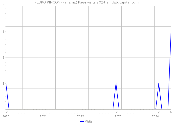 PEDRO RINCON (Panama) Page visits 2024 