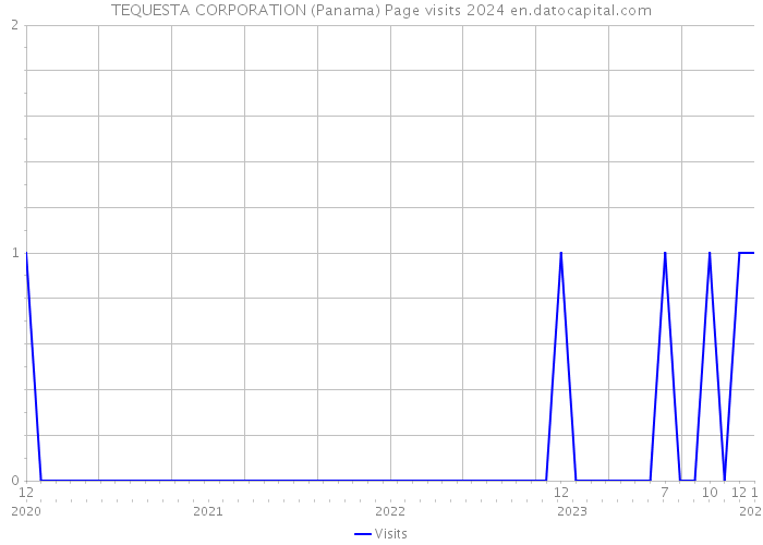TEQUESTA CORPORATION (Panama) Page visits 2024 