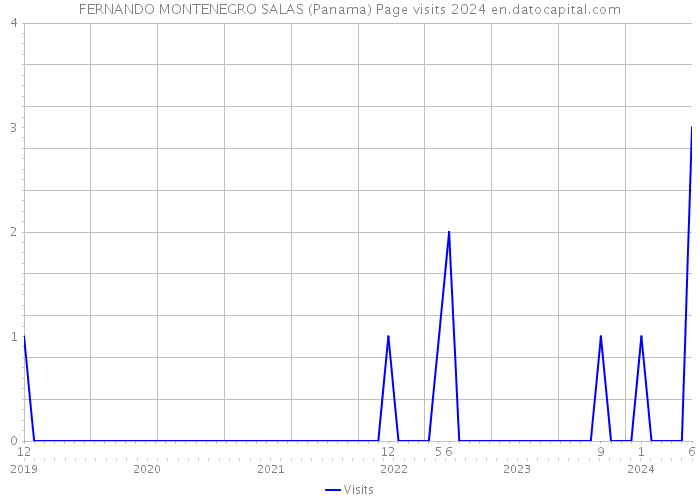 FERNANDO MONTENEGRO SALAS (Panama) Page visits 2024 